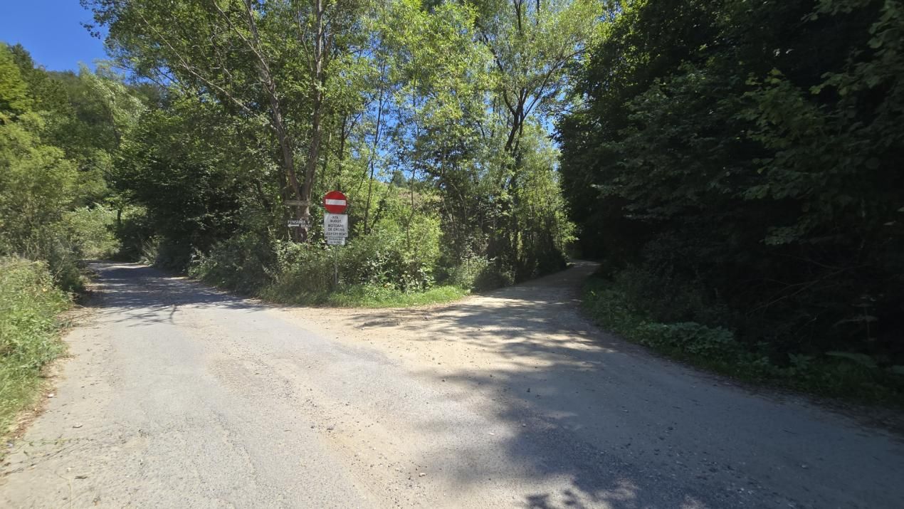 De vânzare teren de 36.200 mp teren în Poiana Mărului – fotografia 9 din 9