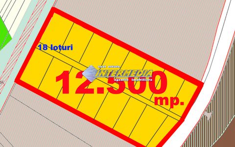 Vanzare Teren Intravilan 12500 mp PUZ aprobat construire Case Paclisa