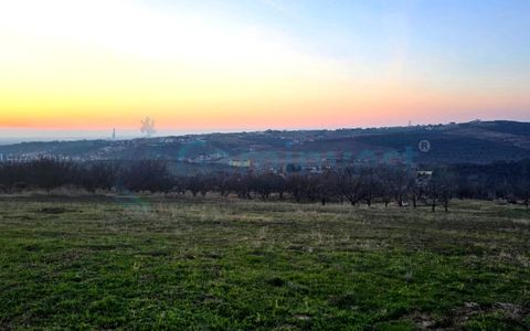 Teren intravilan de 3650 mp in Oradea, zona Sofiei