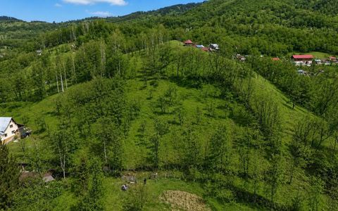 Oportunitate investitie teren  la munte, Prahova | 3.485 mp | View spectaculos