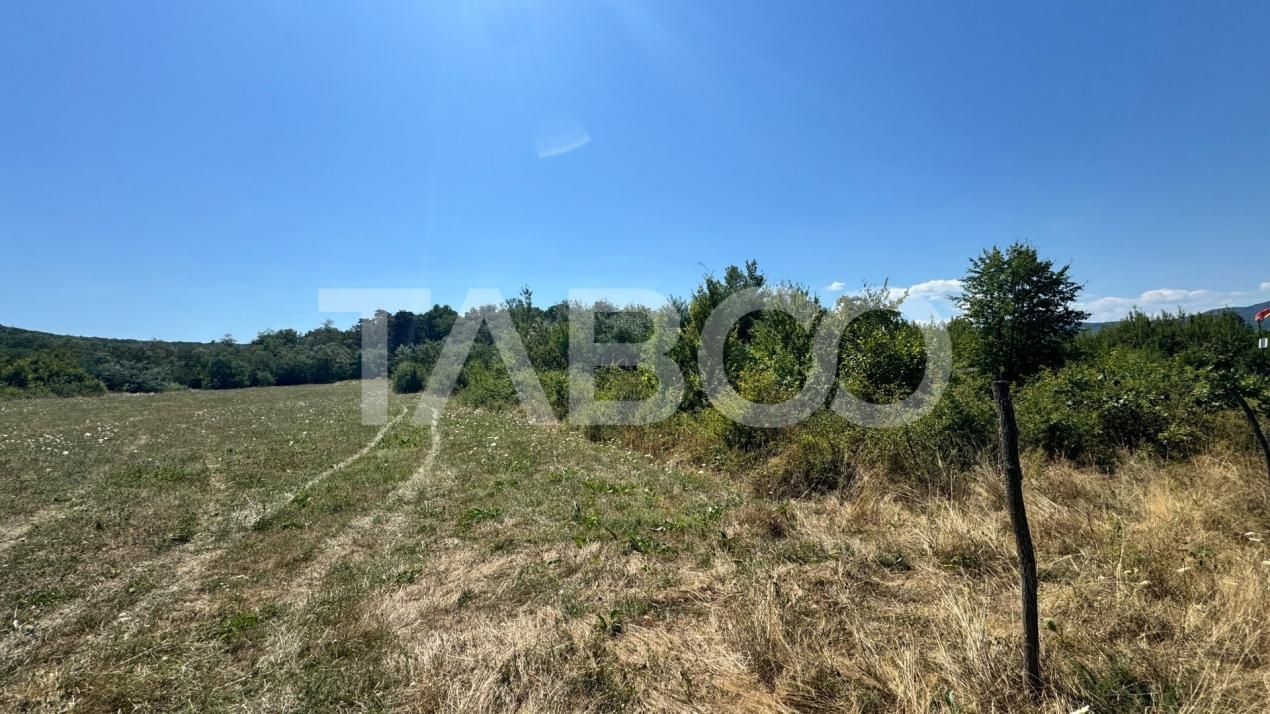 Teren extravilan 2700 mp oportunitate investitie Calea Poplacii Sibiu – fotografia 2 din 3