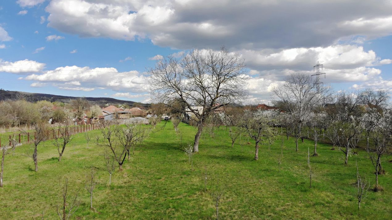 4898 MP Teren Intravilan | Prahova - Cornu De Jos | Toate Utilitatile Prezente – fotografia 3 din 7