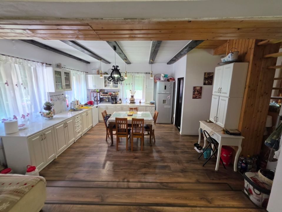 🏡 PROPRIETATE EXTRAORDINARĂ– LOTRIOARA, JUDEȚUL SIBIU! 🌲 – fotografia 2 din 72