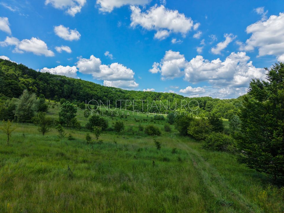 Teren Pasune + Arabil - Valea Mare Podgoria Arges – fotografia 13 din 29