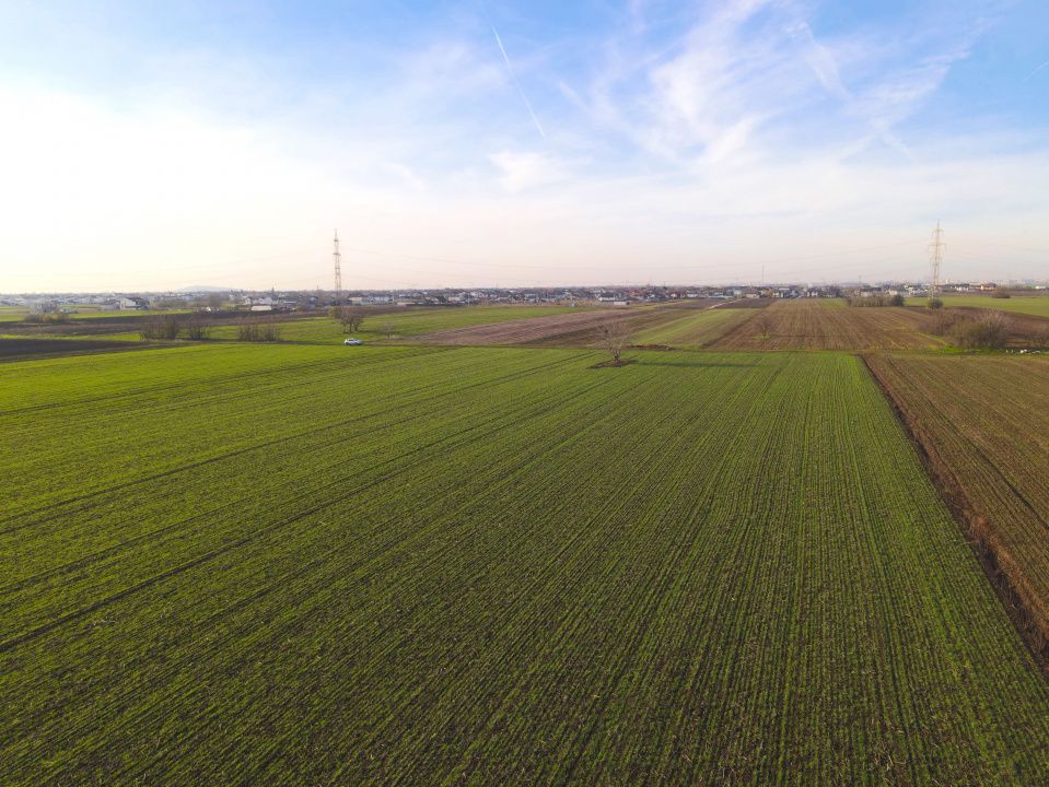 Teren Investitional 1,24 ha Com Berceni | deschidere 42ml | #CG28 – fotografia 7 din 7