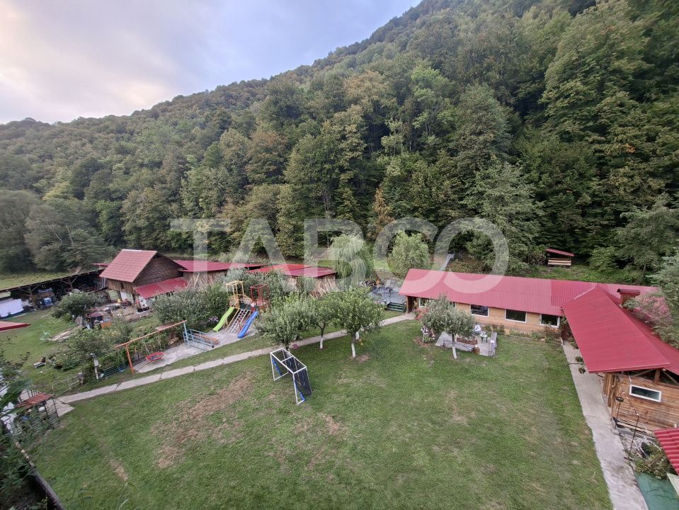 Spatiu de vanzare in Valea Macesului judel Valcea iesire la Lotru – fotografia 40 din 49