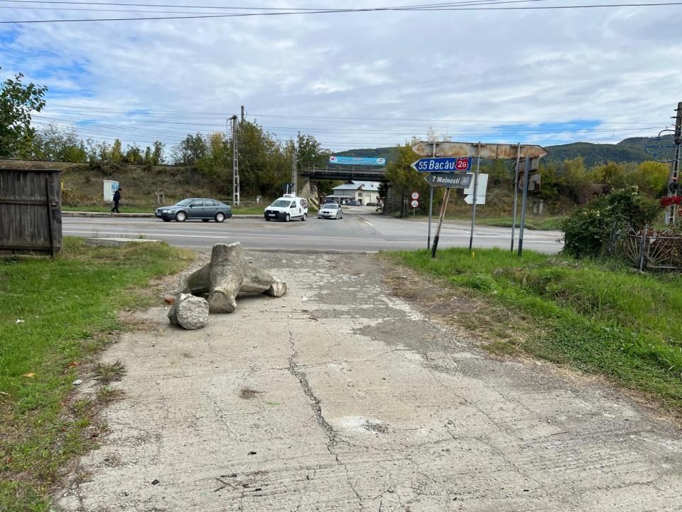 Teren Comănești, locație strategică !!! – fotografia 5 din 10