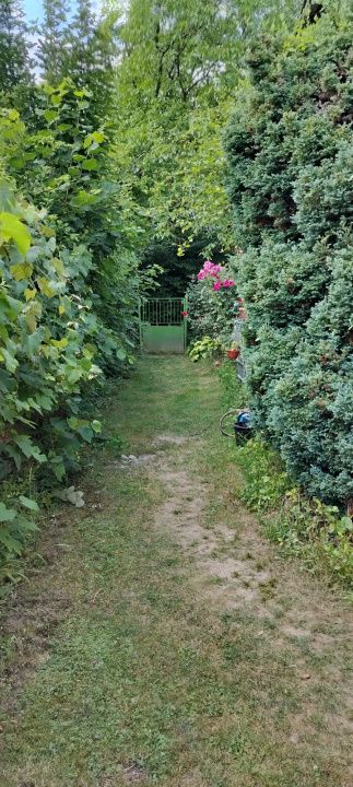 Teren intravilan Tocile, 1.093 mp / livadă, cabană, rulotă și o toamna frumoasă! – fotografia 26 din 37