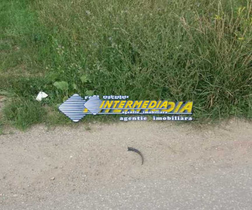 Teren de vanzare in Oarda, zona Ses la sosea 2000 mp – fotografia 3 din 4
