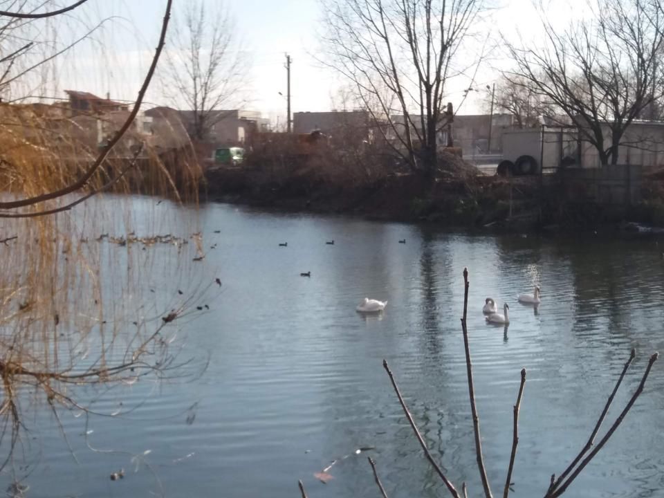 Vilă modernă în Chitila, lângă Lacul cu Nuferi,  3 dormitoare, curte proprie, – fotografia 18 din 18