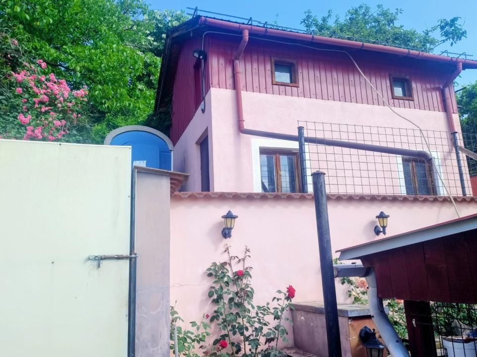 Stefanesti | Proprietate cu doua imobile | Teren 3.297 mp | La 4 km de Pitesti – fotografia 13 din 13