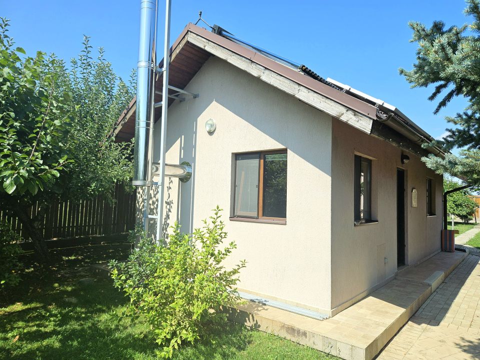 PROPRIETATE DEOSEBITĂ CU POTENȚIAL REZIDENȚIAL ȘI  BUSINESS – MOVILA, NICULEȘTI – fotografia 3 din 23