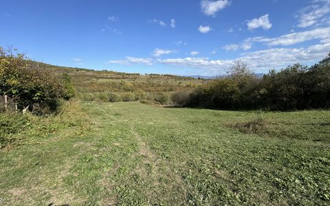 🏡 Teren intravilan de vânzare - 4.443 mp, parcelat în 4 loturi