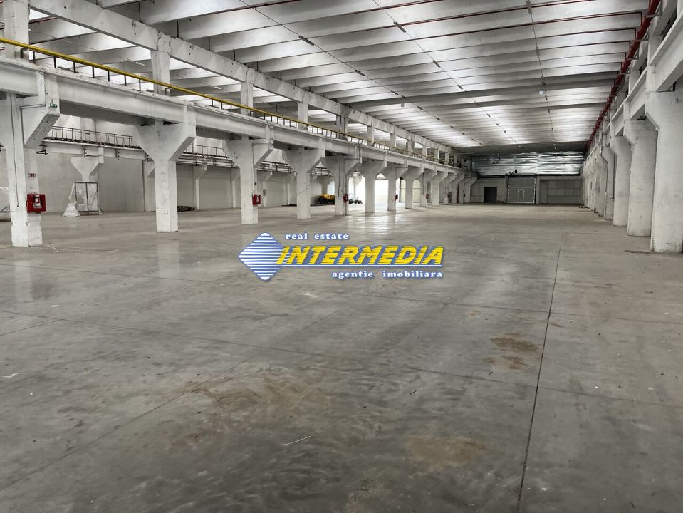 Hale Productie Depozitare Alba Su. de la 1725 mp. - 4000 mp. finisata complet – fotografia 10 din 11