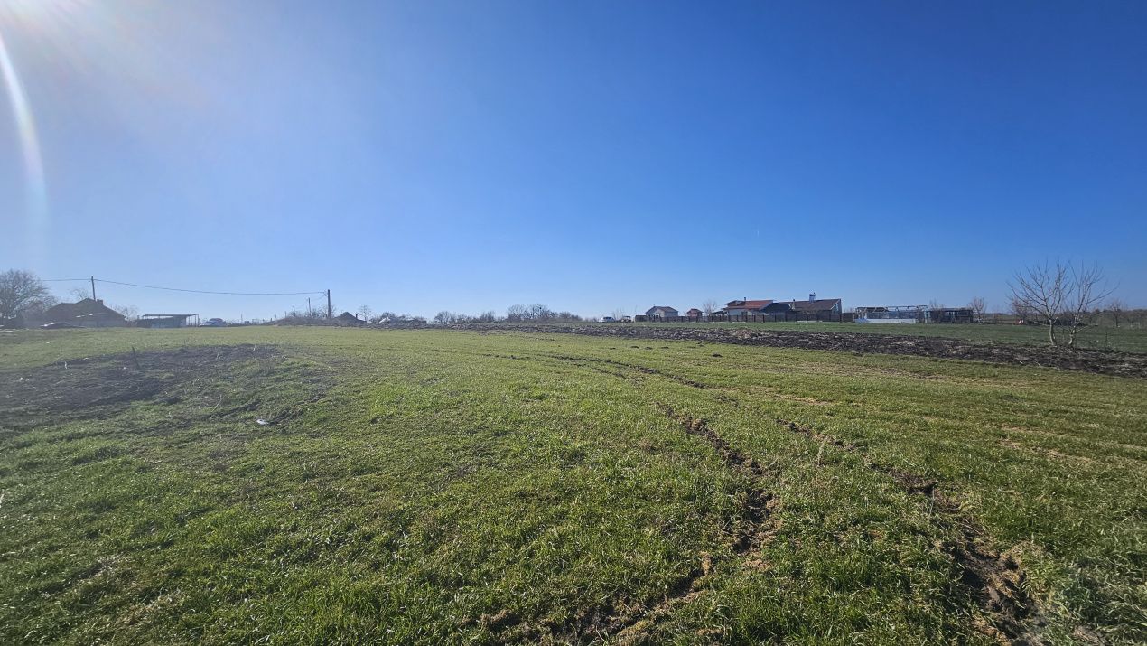 Loturi de Casa pe malul Lacului Creața, Dascălu – 460 mp + Drum servitute – fotografia 7 din 9