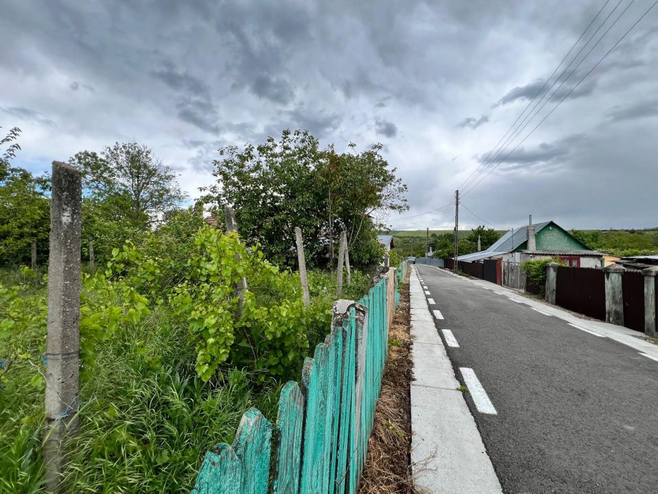 Casă + teren 4430 mp, vie și pomi fructiferi, 22 km de Tecuci – fotografia 29 din 36