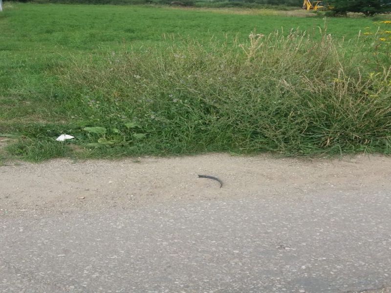 Urgent! Teren intravilan 2100mp in Galda de Jos cu utilitati – fotografia 5 din 6