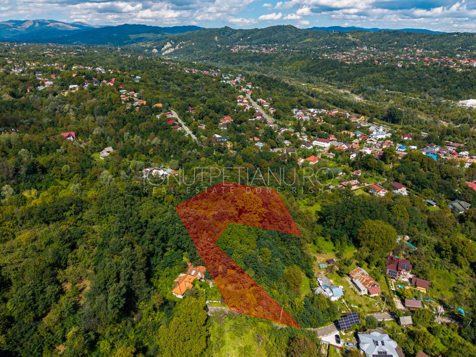 Teren 3.886 mp, Breaza - Podu Vadului, 30 m deschidere la asfalt – fotografia 14 din 16