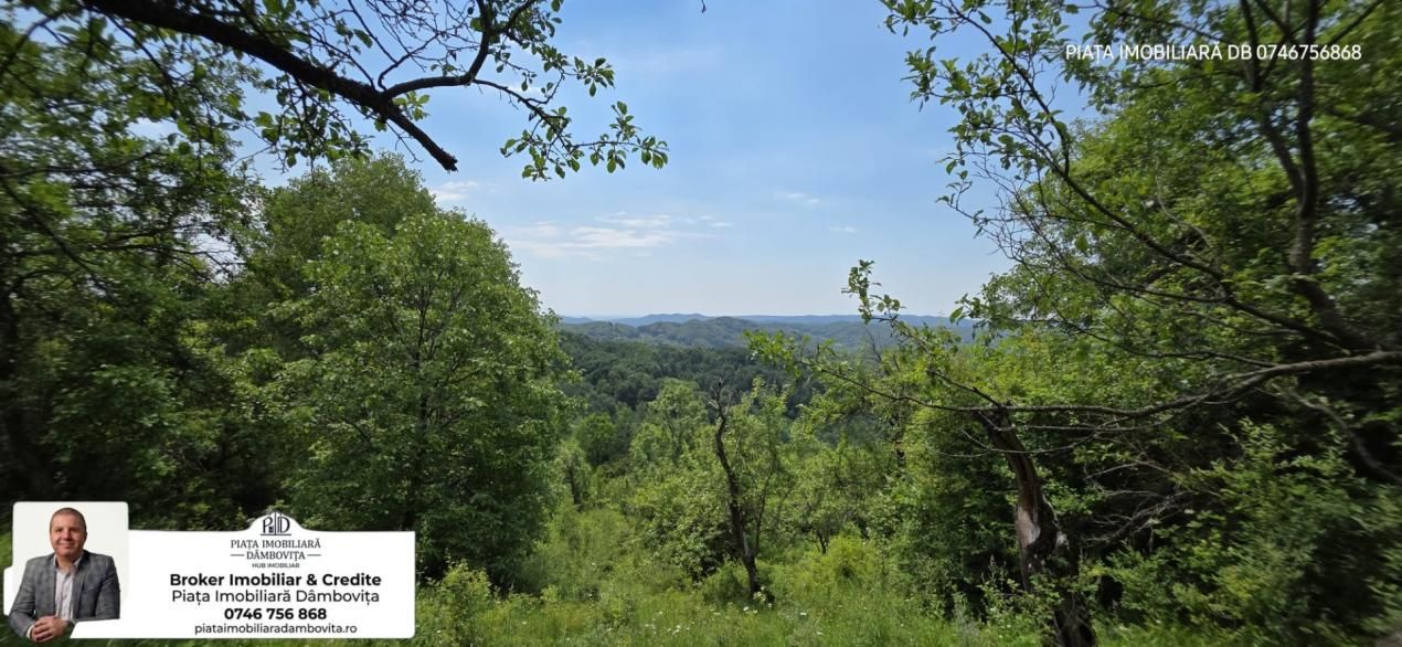 🌲 OPORTUNITATE INVESTIȚIE TURISTICĂ | Panoramă de Vis & Potențial Imens A-Frame – fotografia 1 din 7