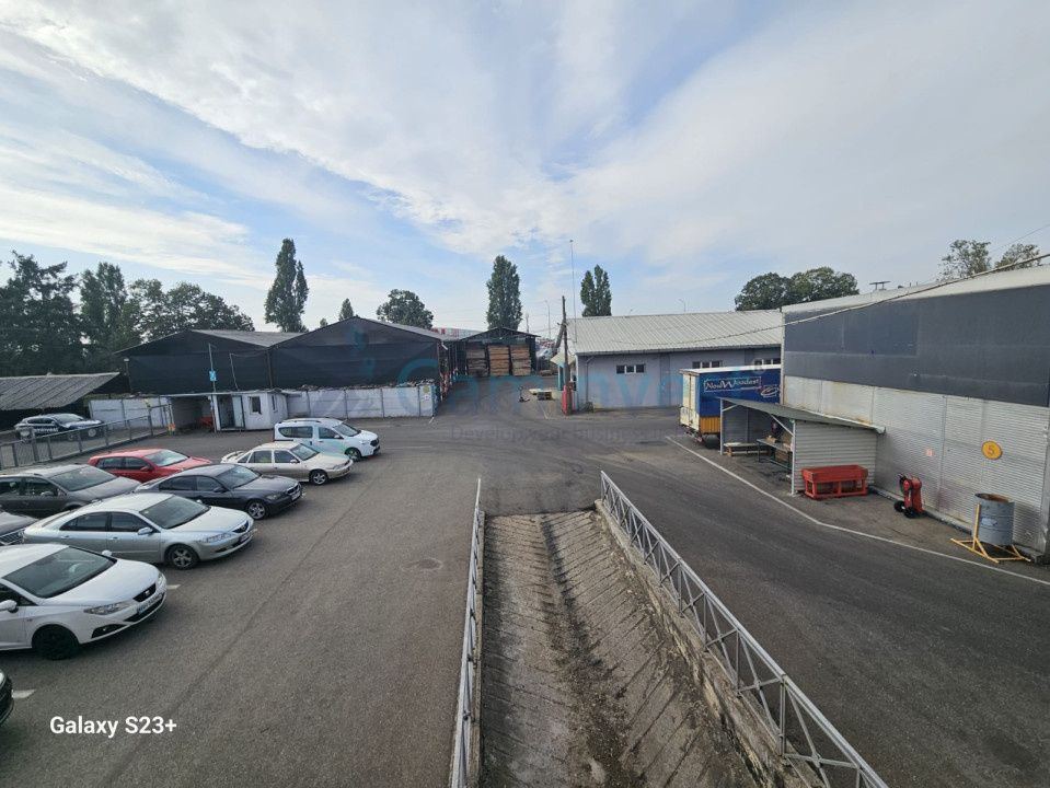 Oportunitate de investiție - Hale Industriale cu Randament ridicat in zona Borș – fotografia 7 din 19