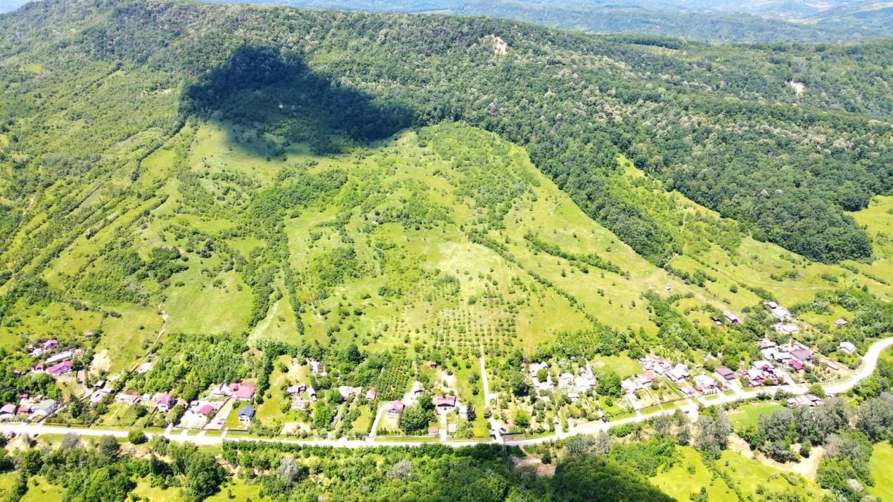 VANZARE Casa-vila cu teren generos si padure, Surani-Prahova – fotografia 34 din 34