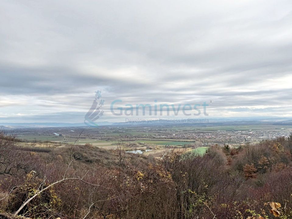 Parcela de teren extravilan, langa padure, zona Gheorghe Doja, Oradea – fotografia 1 din 4