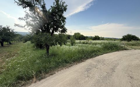 Teren de vânzare în Topoloveni | Zonă liniștită, aproape de oraș