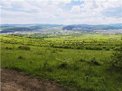 Teren vanzare Centura Donath Nord, 2900 mp – fotografia 10 din 11
