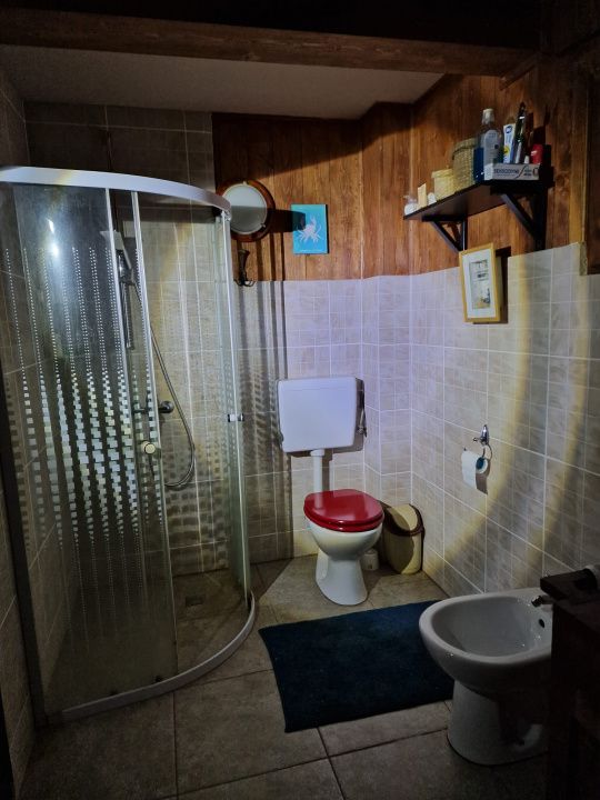CABANĂ DE VÂNZARE ÎN ROMULI, BISTRIȚA-NĂSĂUD – fotografia 18 din 21