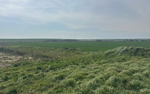 Teren intravilan 10.000 mp | DN | in Zona Volvo - Hala Neagră