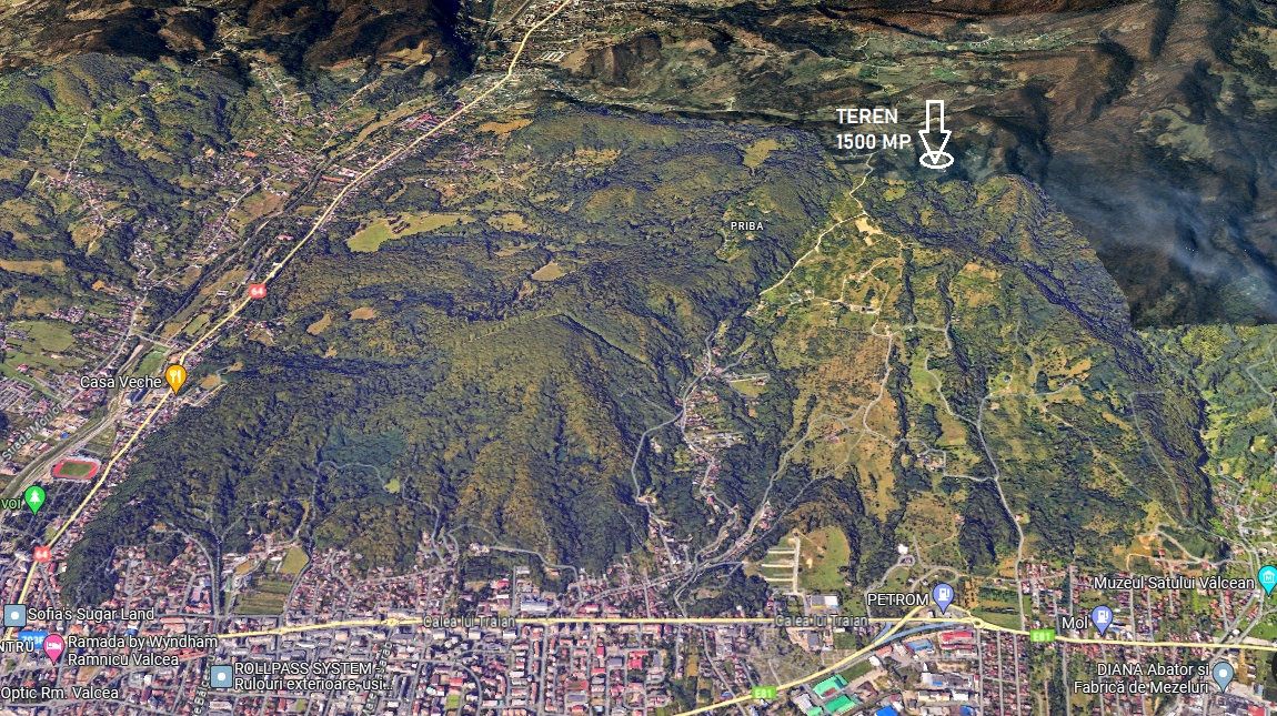 DEALUL MALULUI TEREN 1500 MP INCONJURAT DE PADURE – fotografia 8 din 11