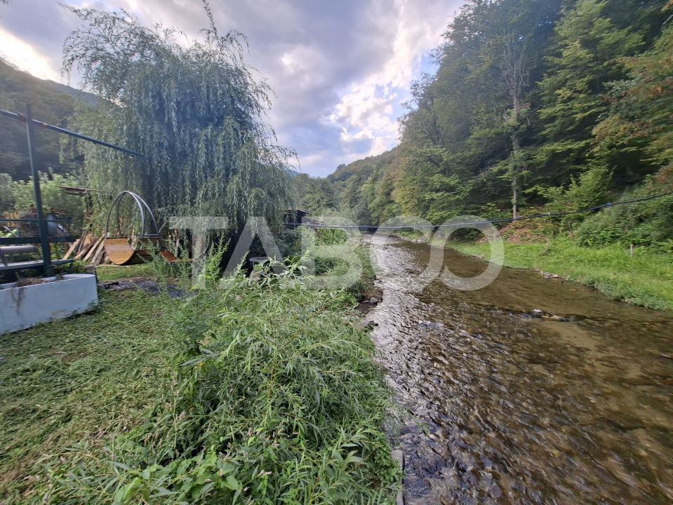 Spatiu de vanzare in Valea Macesului judel Valcea iesire la Lotru – fotografia 24 din 49