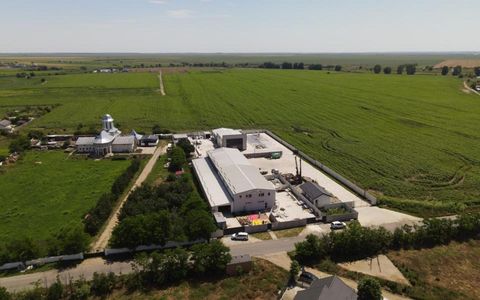 Vanzare Hala Industriala 330mp - teren 1016mp - zona Manastire