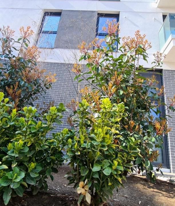 3 Camere de inchiriat | Timpuri Noi | 2 Bai | Centrala | Parcare | 85MP – fotografia 14 din 14