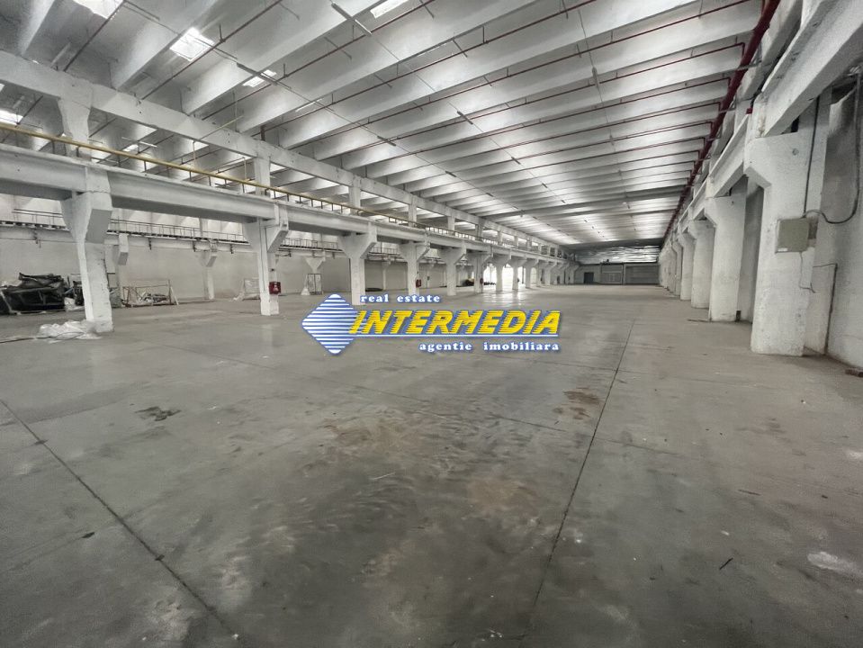 Hale Productie Depozitare Alba Su. de la 1725 mp. - 4000 mp. finisata complet – fotografia 8 din 11
