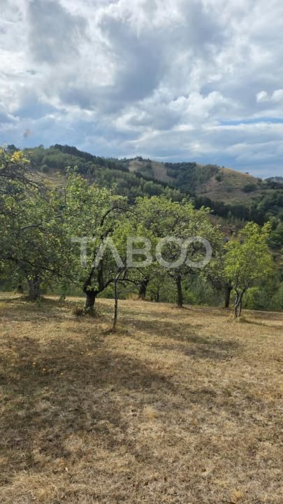 Teren de vanzare 8.300 mp Plesi Loman judetul Alba – fotografia 9 din 10
