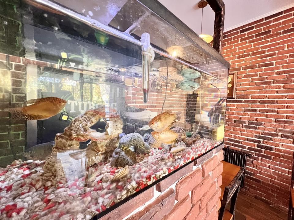 BUSINESS la CHEIE - RESTAURANT - PIZZERIE I DRISTOR I Since 2000 ! – fotografia 17 din 19