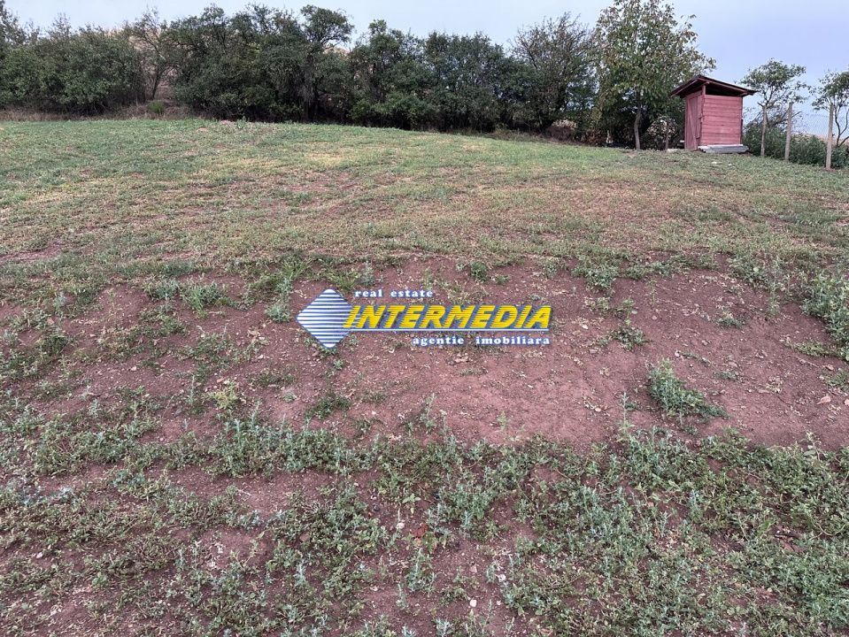 Teren intravilan de vanzare 1300 mp in Sard – fotografia 2 din 4