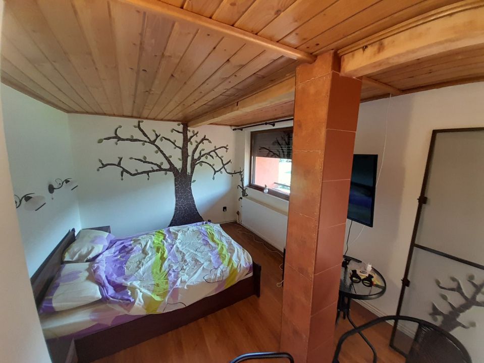 Casa individuala 4787mp teren,zona RUSU BARGAULUI – fotografia 24 din 32