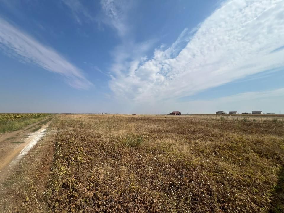 Teren intravilan, 733mp, posibilitate investitie- Sanandrei – fotografia 2 din 2
