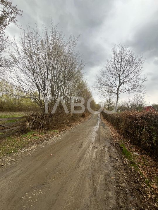 Teren intravilan pentru casa zona linistita 550 mp front 21 m Cisnadie – fotografia 6 din 7