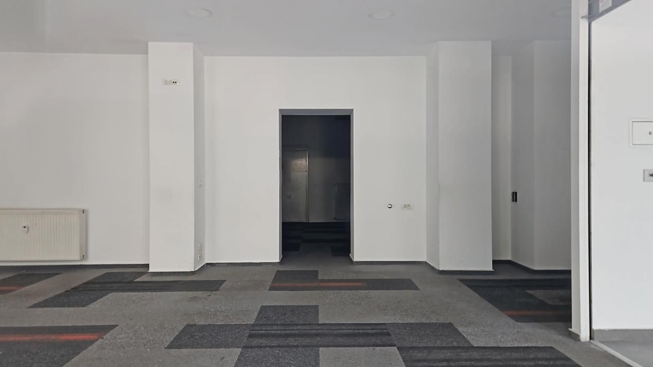 Spatiu Comercial | Central | Nicolae Titulescu | Banu Manta – fotografia 6 din 7