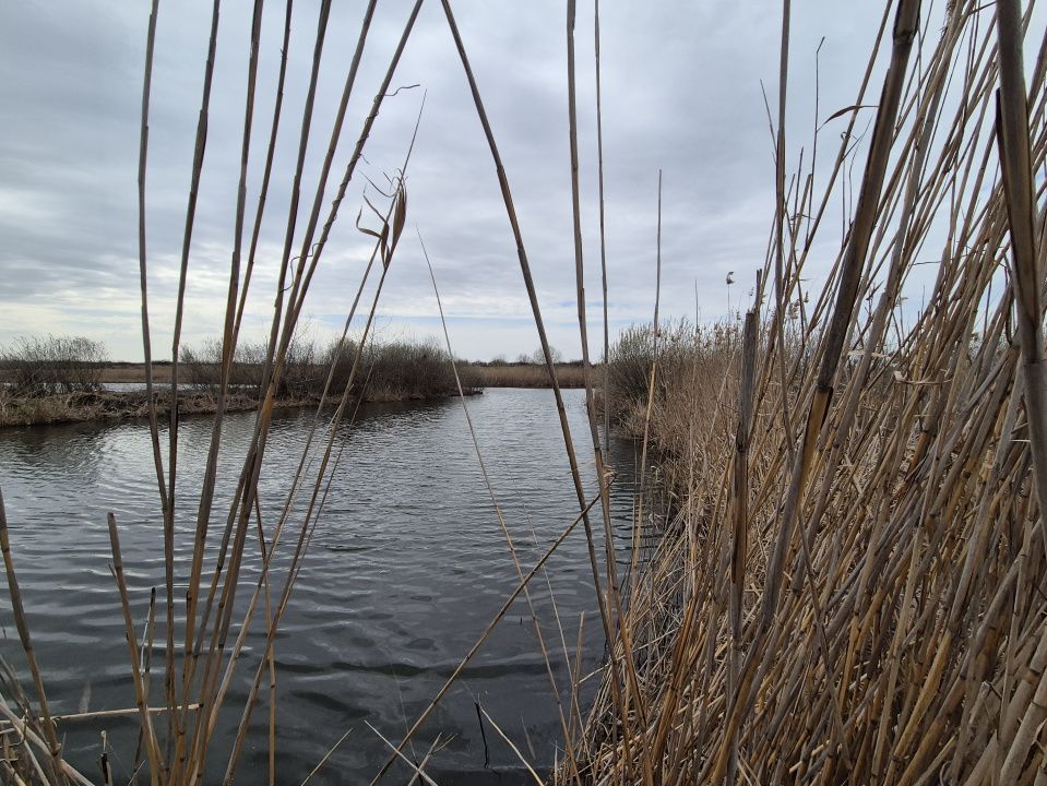 Izvorani - Teren cu deschidere generoasă la lacul Snagov – fotografia 3 din 9