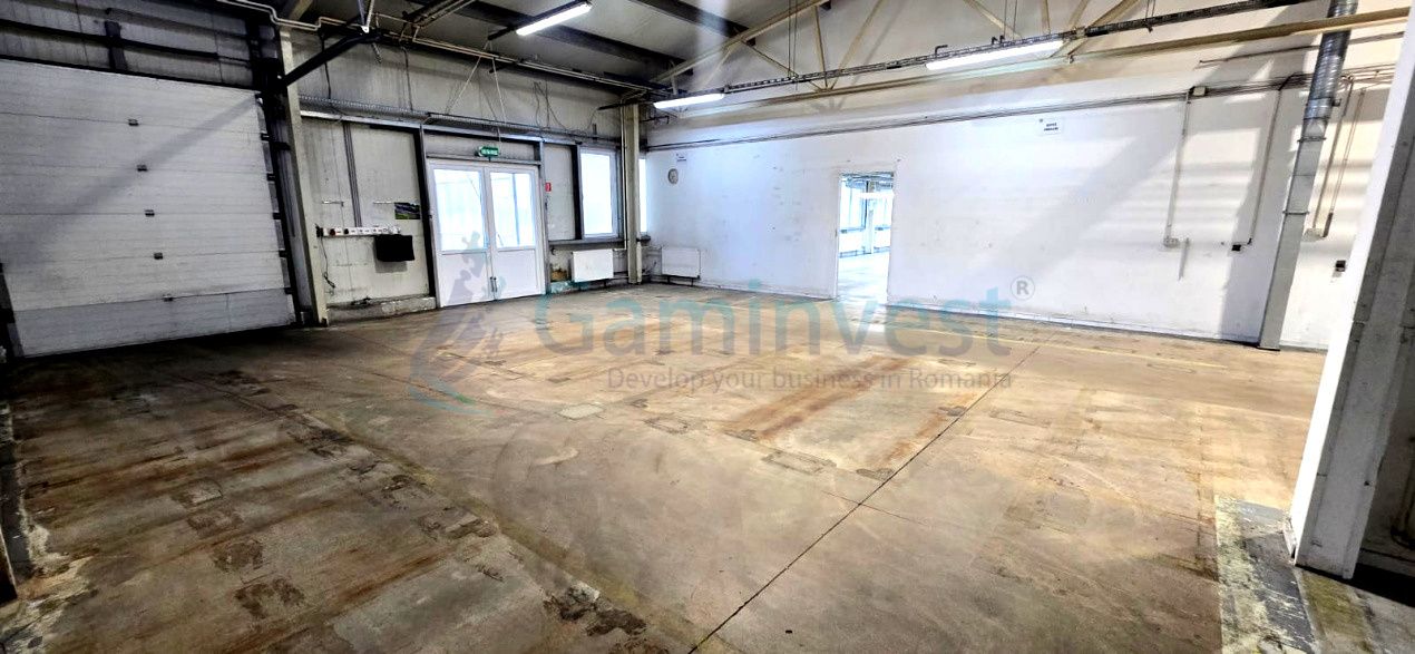 Hala de inchiriat in Marghita pentru productie si depozitare, Bihor – fotografia 7 din 19