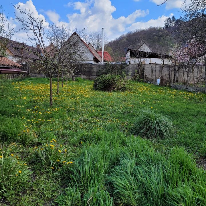 Casa la tara, Apoldul de Sus, 4 camere dormitoare, anexe, pivnita, teren 1200 mp – fotografia 36 din 43