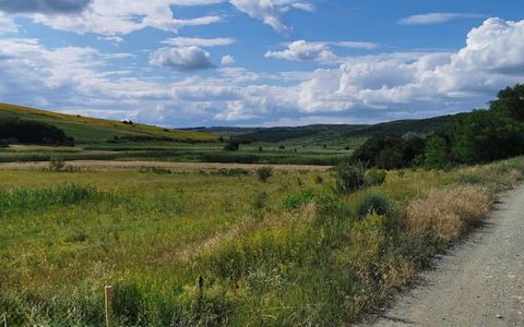 Teren intravilan 17400mp Campenesti