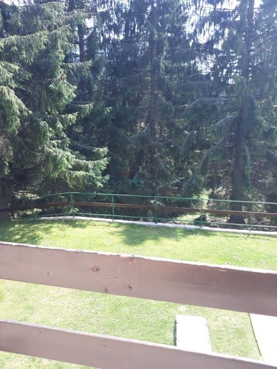 Casa de vacanta cu 5 camere de vanzare in Vartop - Arieseni, jud Bihor – fotografia 2 din 5