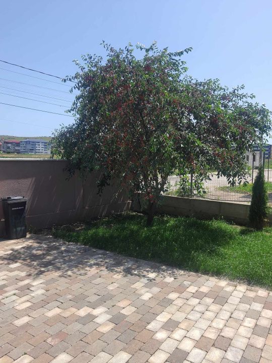 Casă P+M în Apahida – 140 mp utili, teren 700 mp, zonă rezidențială – fotografia 10 din 10