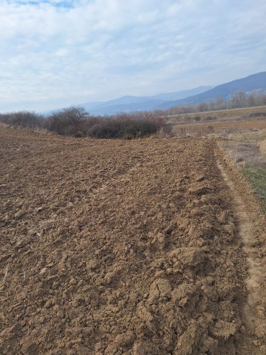 Teren extravilan de vanzare in suprafata de 15800 mp in Salistea, judet Alba – fotografia 1 din 3