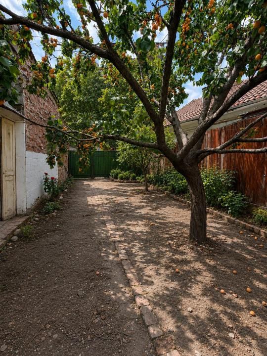 Casa ultracentrala de vanzare in Oradea, singur in curte, teren 500 mp – fotografia 2 din 6